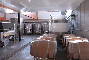 Wine making